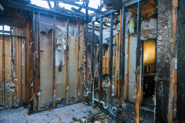 Professional Soot Removal technician working in Cambridge, MN